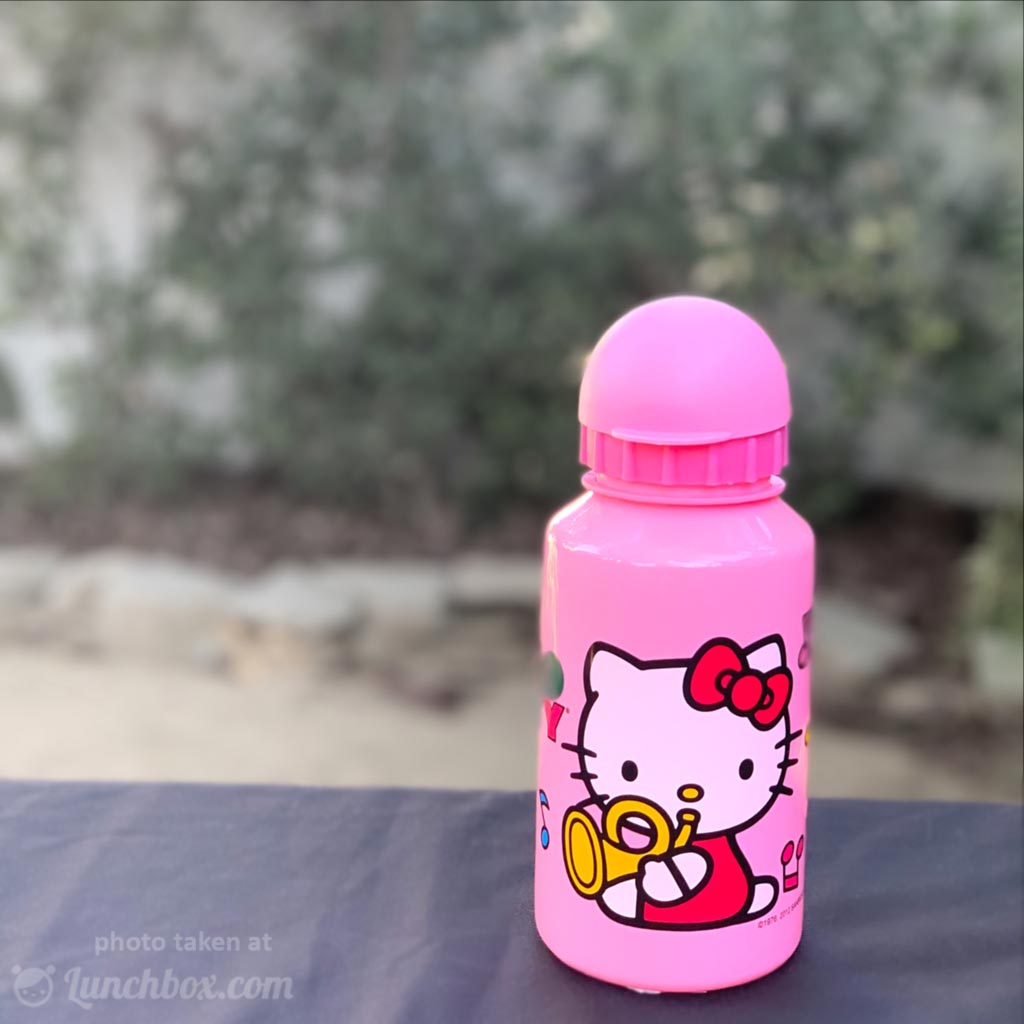 Thermos Bottle, Hello Kitty, 12 Ounces, Shop