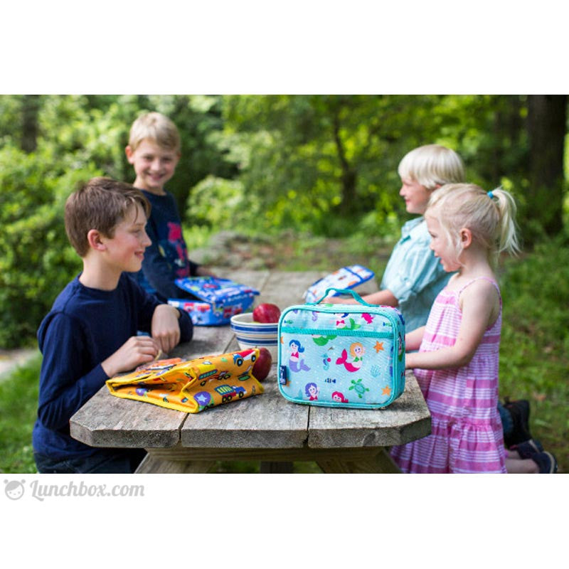 http://www.lunchbox.com/cdn/shop/products/insulated-school-lunch-boxes_1024x1024.jpg?v=1494442784