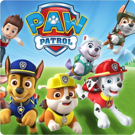 Paw Patrol Kids Lunch Boxes