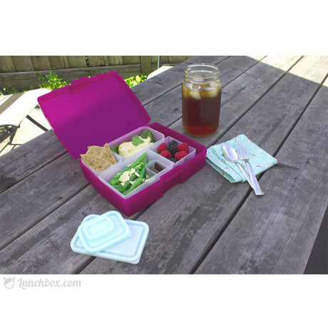 Adult Bento Box