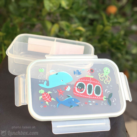 Boys Lunch Box