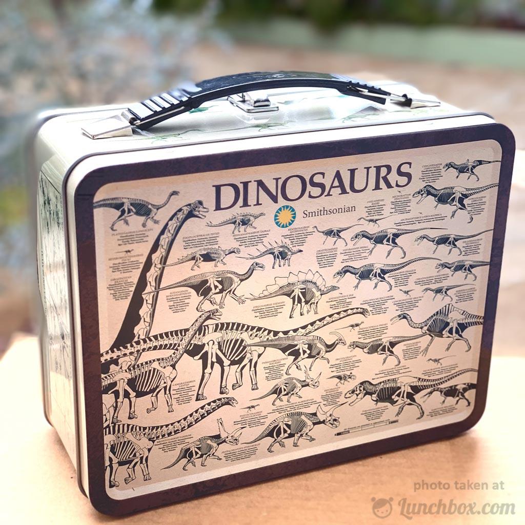 Custom Dinosaurs Lunch Box (Personalized)