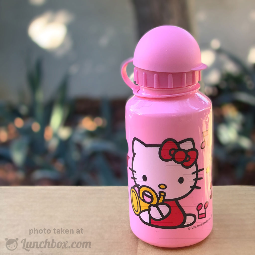 4 Kid Water bottles, Camelbak and thermos/w free hello kitty lunch
