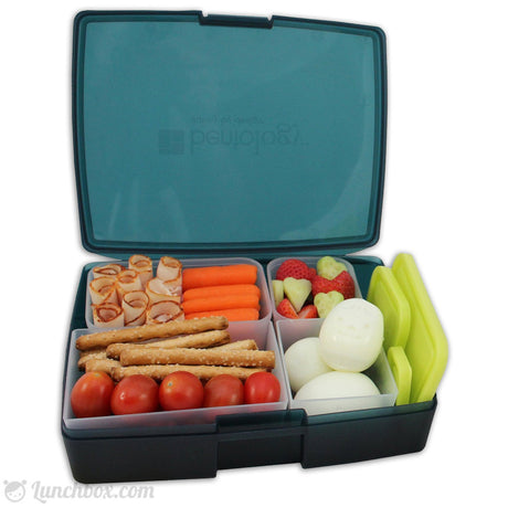 Obento Lunchbox