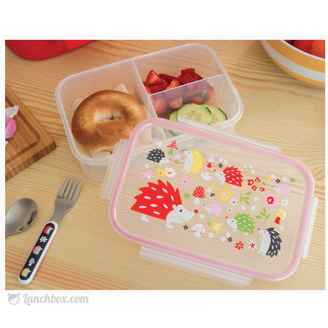 School Bento Box