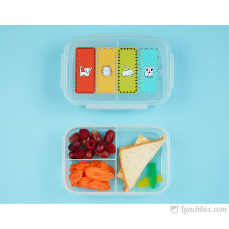 School Bento Box