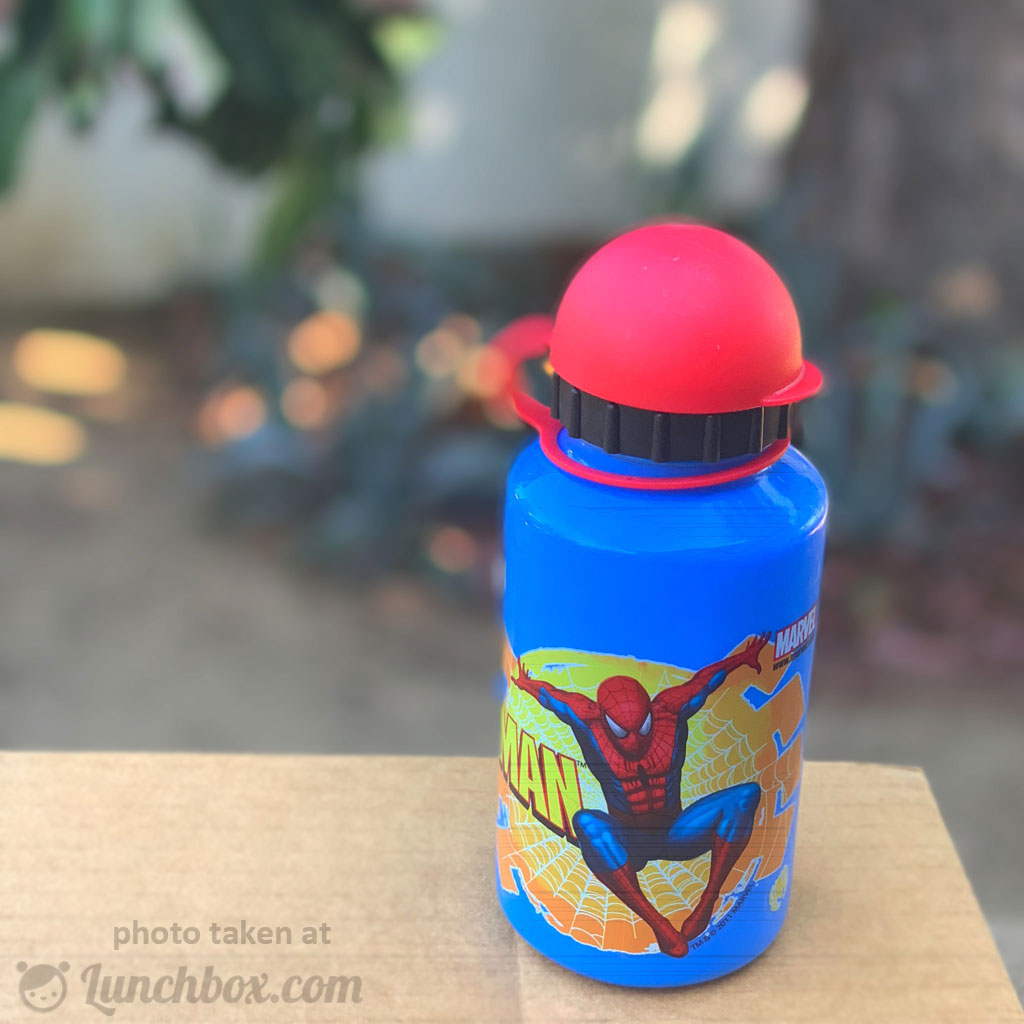 Spiderman 16 oz. Pull Top Water Bottle